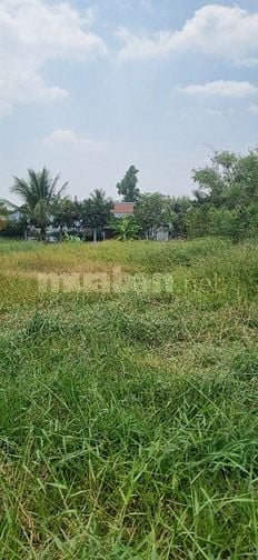 Đất sạch chính chủ kẹt tiền cần bán