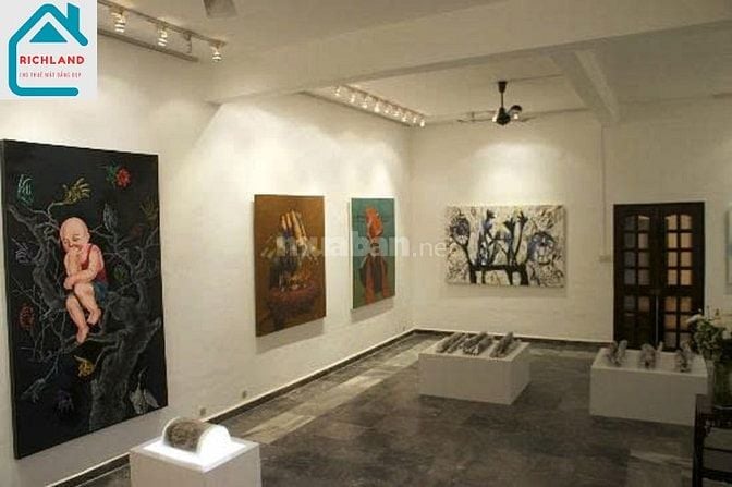 Cho thuê biệtthự 27i Trần Nhật Duật, P.Tân Định, Q1- Diện tích:13mx20m