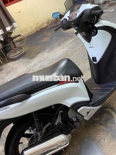 Sh 150 nhập ý 2010 màu trắng Chính chủ