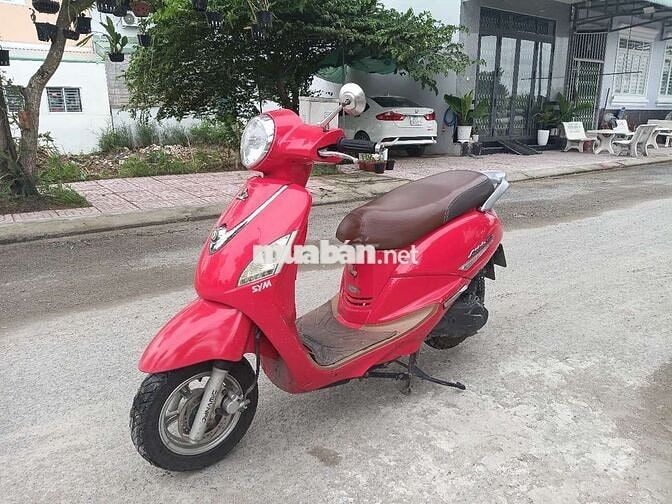Elizabeth Fi xe còn đẹp máy VIP