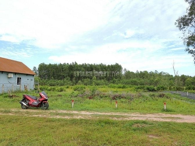 Chính chủ bán đất ở đường ô tô khu dân cư có thổ cư giá đầu tư rất tốt