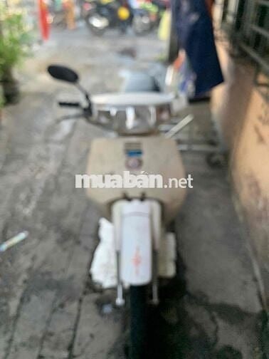 Honda max100 máy êm