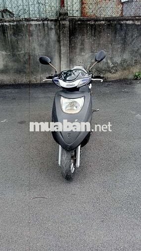 Atyla, giấy tờ đầy đủ bstp