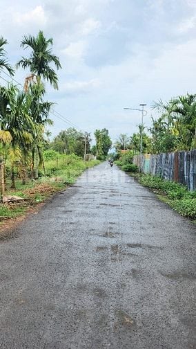 Bán đất Trung Hòa Ee ktur cư kuin