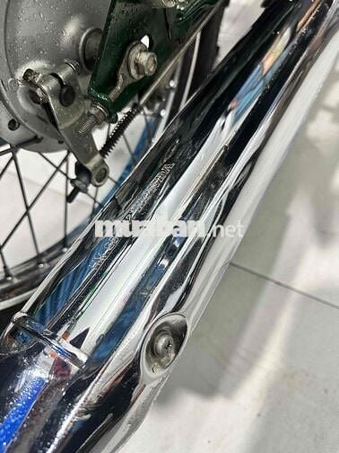 Cúp 81/50 HQCN Cọp Zin Bstp 9 chủ