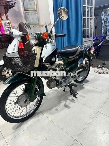 Cúp 81/50 HQCN Cọp Zin Bstp 9 chủ