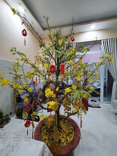 Nhà ở khu DC yên tĩnh, an ninh , đường NHC, Bình Thạnh