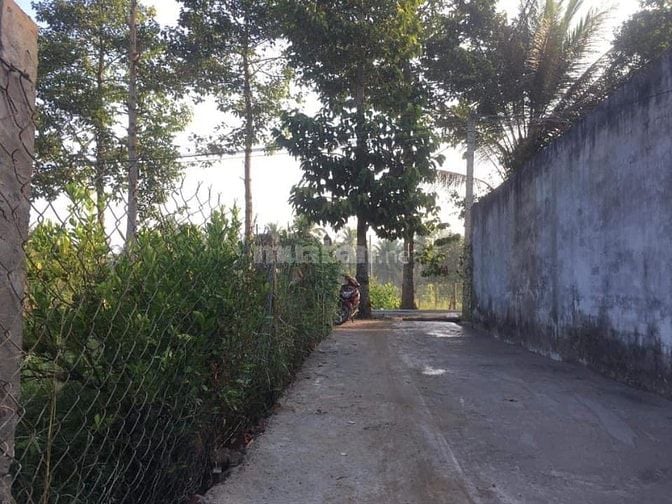 Bán đất mặt tiền sông Cổ Chiên, Xã Nhuận Phú Tân, MCB, 3.6 công, 2.8ty