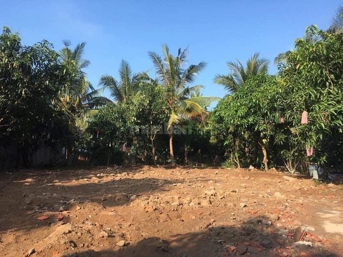 Bán đất mặt tiền sông Cổ Chiên, Xã Nhuận Phú Tân, MCB, 3.6 công, 2.8ty
