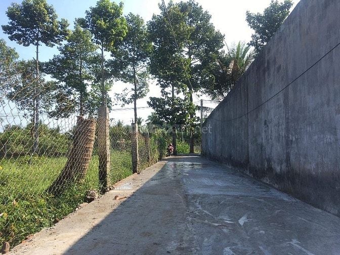 Bán đất mặt tiền sông Cổ Chiên, Xã Nhuận Phú Tân, MCB, 3.6 công, 2.8ty