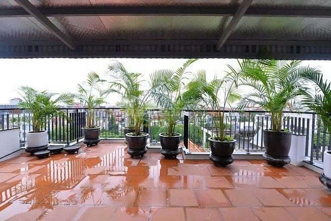 Tôi cần bán gấp tòa nhà phố Trịnh Công Sơn, Q Tây Hồ DT 205  x 9 tầng,