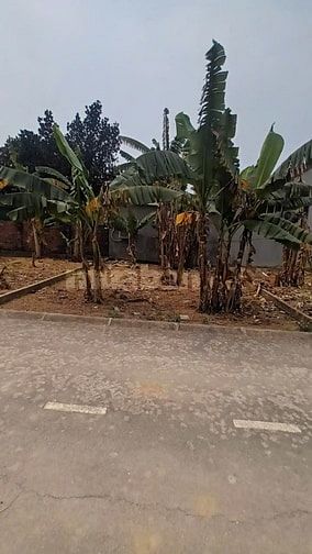 Đất Bình Yên, Thạch Thất, Hà Nội  61,2 m, đường 6 m.
