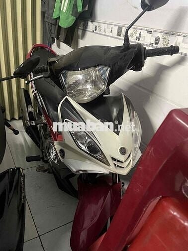 ex 208 zin nguyên con