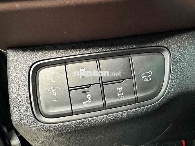 Hyundai Santa Fe 2020 2.2L Premium đi 56000 km