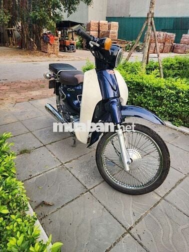 Xe cúp học sinh biển hà nội
