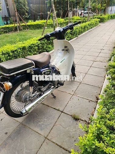 Xe cúp học sinh biển hà nội