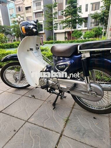 Xe cúp học sinh biển hà nội