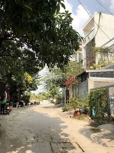 Cho Thuê Nguyên Căn Gò Vấp Full Nội Thất Không Cần Môi Giới 