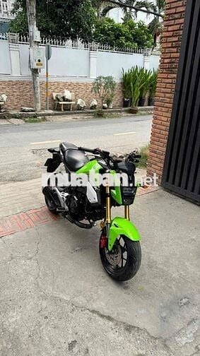 Msx 125 2019
