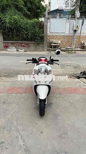 Scoopy 110 2020