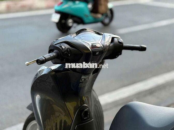 sh150
Xám đen đời 2021