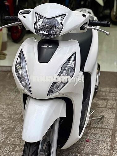 Vision ( đời 2023 ) Bản tiêu chuẩn ❤️