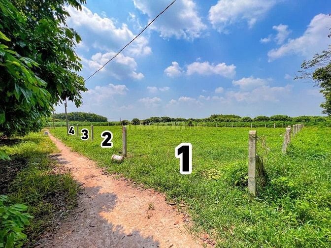 5x40 full thổ cư. Sổ hồng riêng. Đường xe hơi. 2xxtr