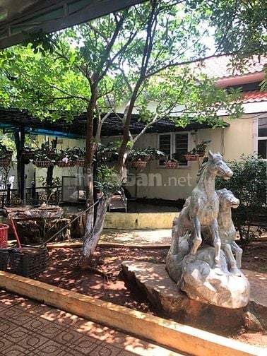 Chính chủ bán đất gồm nhà - nhà yến ở Long Thành - Đồng Nai -18 tỷ (TL