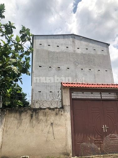 Chính chủ bán đất gồm nhà - nhà yến ở Long Thành - Đồng Nai -18 tỷ (TL