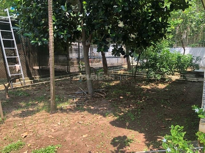 Chính chủ bán đất gồm nhà - nhà yến ở Long Thành - Đồng Nai -18 tỷ (TL