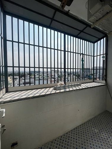 Bán Căn Hộ Tầng trệt Chung Cư 234 Hẻm 330Phan Văn Trị P11 BT 3,82x14m