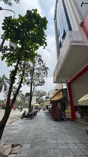 Hoa hậu Tân Mai_86m2_phố đường đôi_8tầng_MT6.9_dòng tiền 1,4 tỷ/năm_vỉ