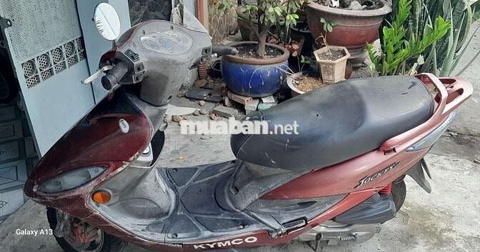 Xe kymco Jockey