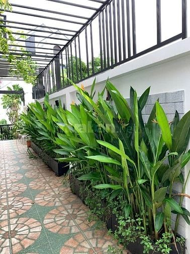 Villa full nội thất hiện đại phường Thạnh Mỹ Lợi, nhà mới, đẹp,có hầm