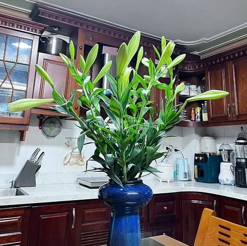 Chuyển về quê ở, chính chủ cần bán nhà mặt phố Nam Dư