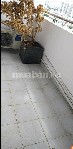 Chủ nhà gửi bán căn hộ cao cấp Screc Tower – 70m², 2PN - 4.1 tỷ