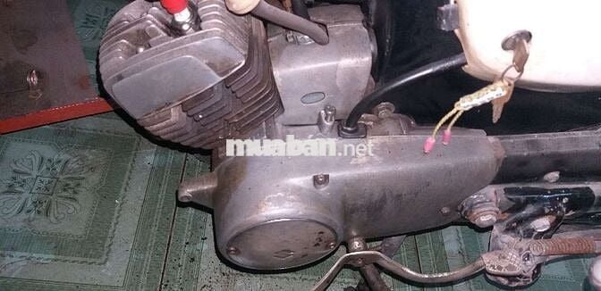 Suzuki M12