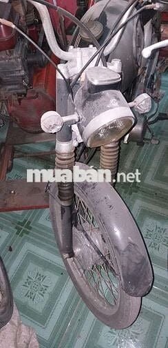 Suzuki M12