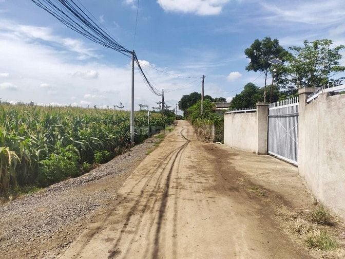Đất nền thổ cư Cẩm Mỹ sổ riêng chỉ 150trieu sở hữu ngay