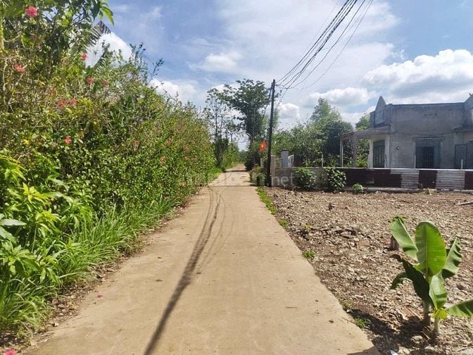 Đất nền thổ cư Cẩm Mỹ sổ riêng chỉ 150trieu sở hữu ngay