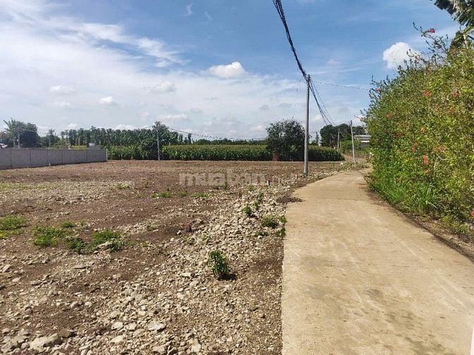 Đất nền thổ cư Cẩm Mỹ sổ riêng chỉ 150trieu sở hữu ngay