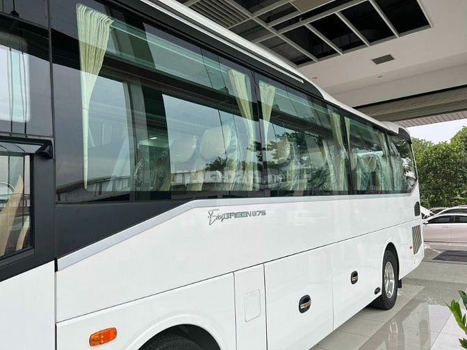 Xe 29 chỗ mẫu mới, xe hoa cưới và các loại xe du lịch chuyên nghiệp