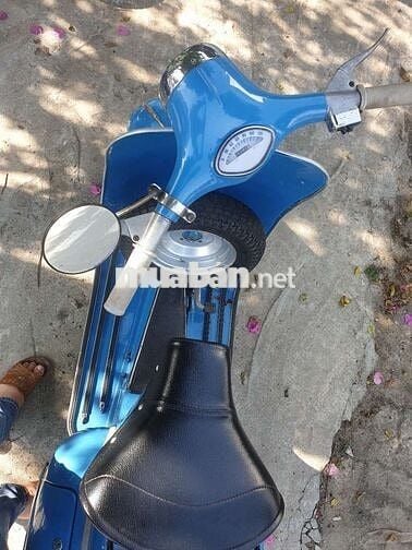 Bán vespa standar 150 cổ