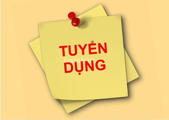 CÔNG TY CẦN TUYỂN NV VĂN PHÒNG VÀ LĐPT LÀM VIỆC TPHCM