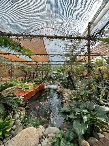 CHÍNH CHỦ BÁN ĐẤT ĐÀ LẠT SINH LỜI TỐT. Ở và KINH DOANH THUẬN LỢI