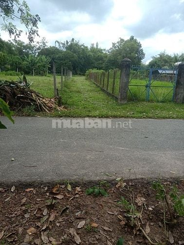 🔴 ĐẤT MẶT TIỀN + NỞ HẬU 745 M2 _(Thổ cư: 300 M2), THÁI MỸ CỦ CHI