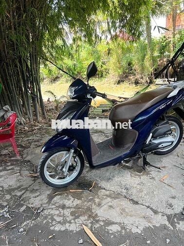 vison 2022  2x bao giấy hs