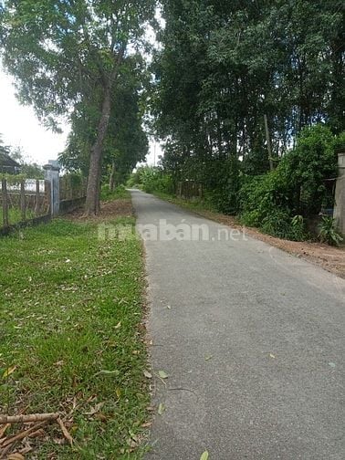 🔴 ĐẤT MẶT TIỀN + NỞ HẬU 745 M2 _(Thổ cư: 300 M2), THÁI MỸ CỦ CHI