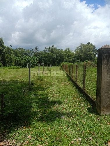 🔴 ĐẤT MẶT TIỀN + NỞ HẬU 745 M2 _(Thổ cư: 300 M2), THÁI MỸ CỦ CHI