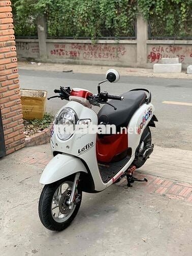 scoopy 2020